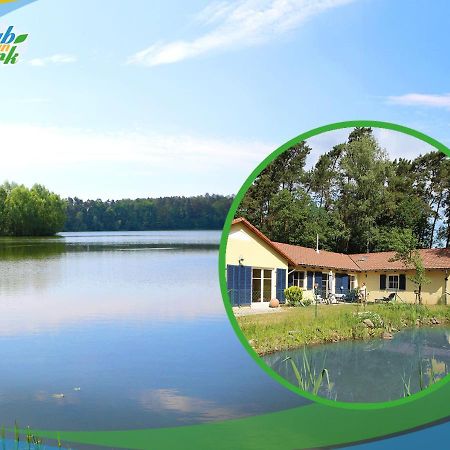 Familien-Suite-Im-Wald-Am-See Bork Bagian luar foto