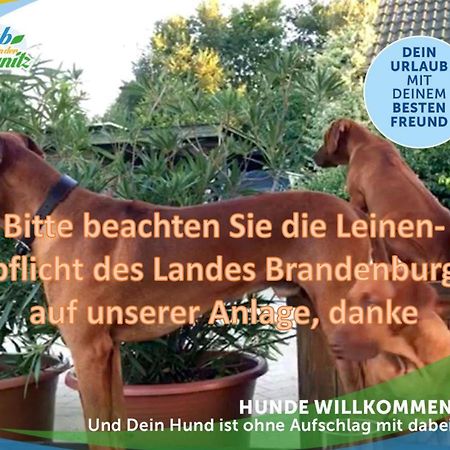 Familien-Suite-Im-Wald-Am-See Bork Bagian luar foto