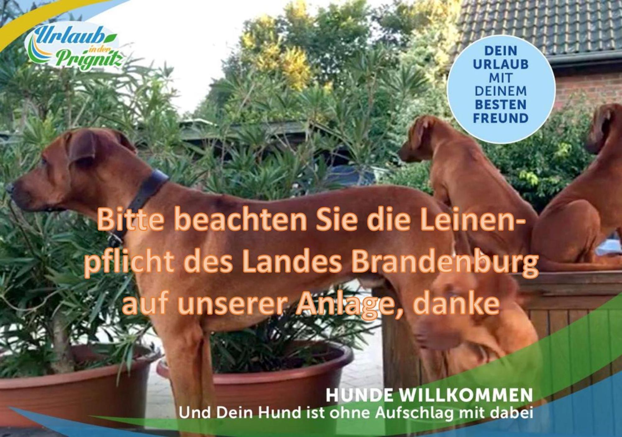 Familien-Suite-Im-Wald-Am-See Bork Bagian luar foto